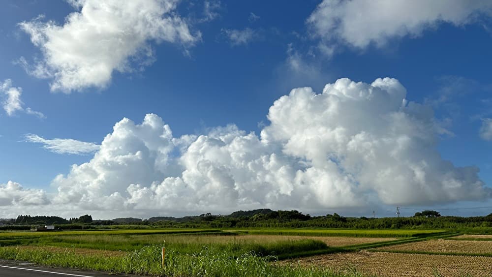 積乱雲（雷雲）